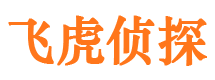 桐柏外遇调查取证